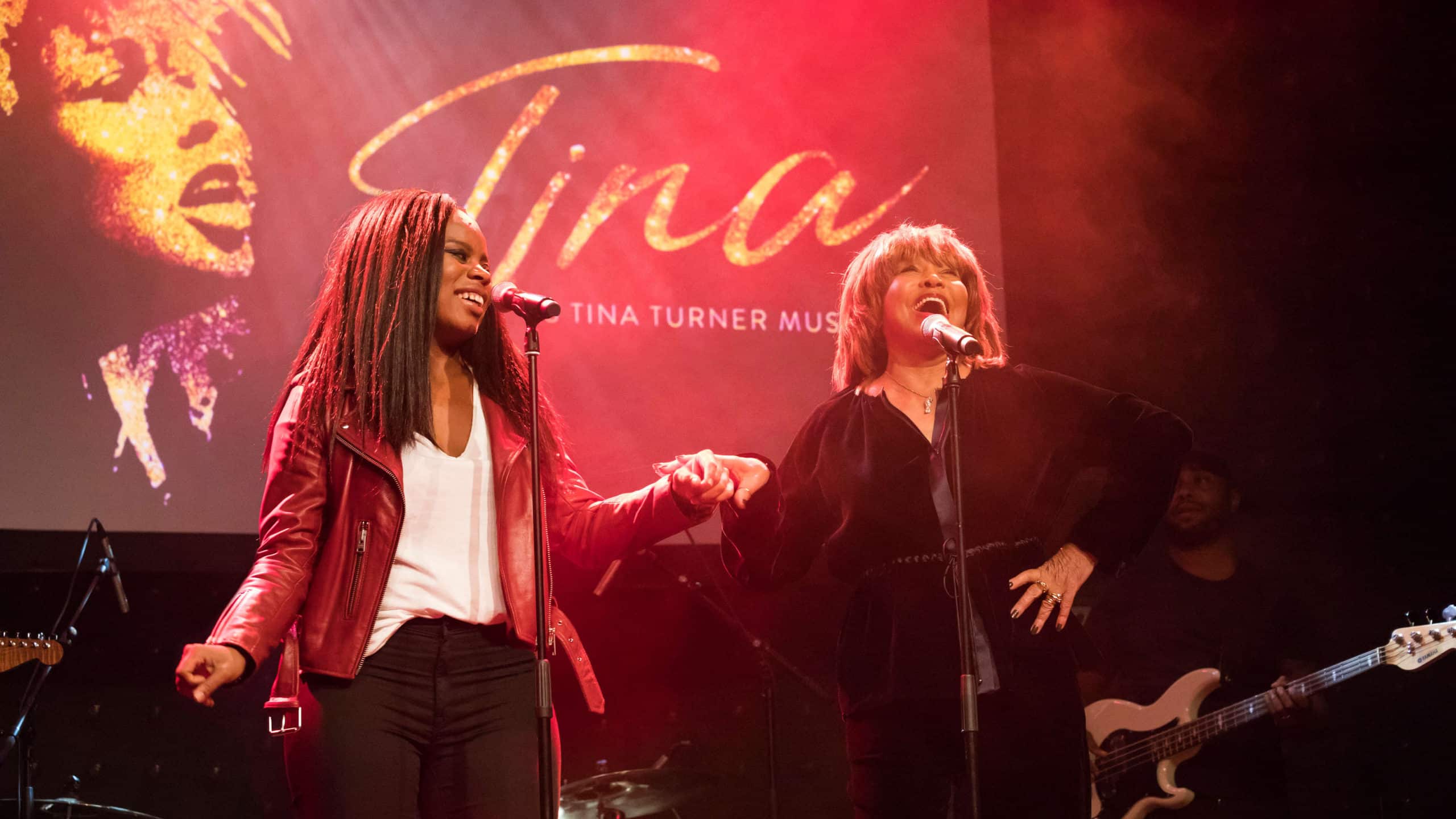Tina Musical Hamburg Cast