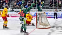 Eishockey-Augsburger Panther