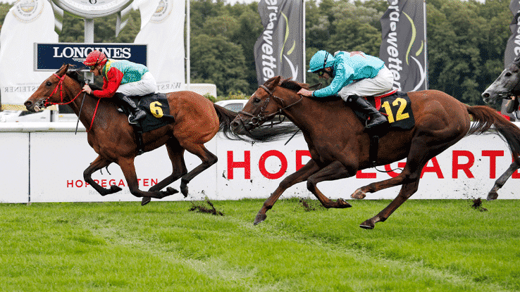 Rennbahn Hoppegarten