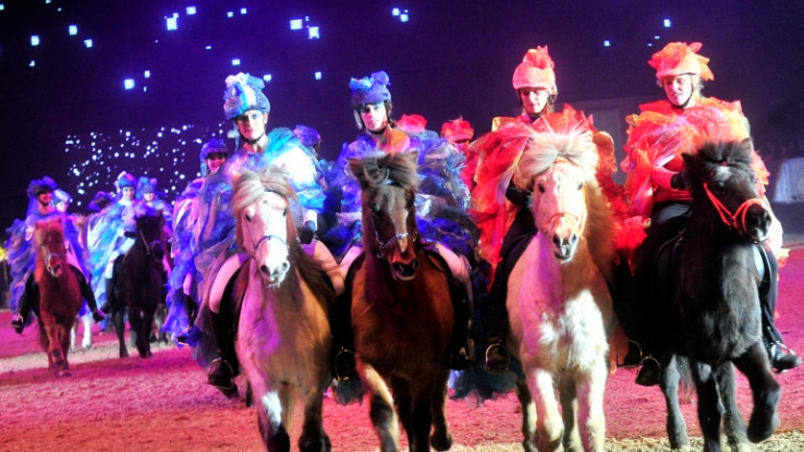 Die Show-Highlights der Pferd & Jagd 2022: Nacht der Pferde und MiMaMo