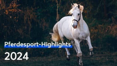 Pferdesport Highlights 2024