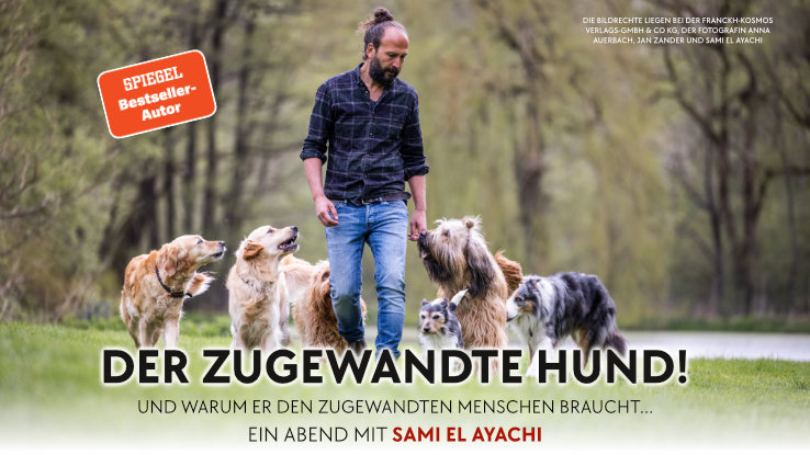 Sami El Ayachi geht Anfang 2027 auf Deutschland-Tour